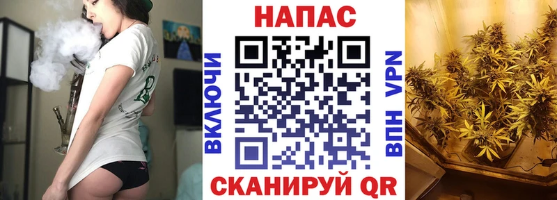 Марихуана ГИДРОПОН Донской
